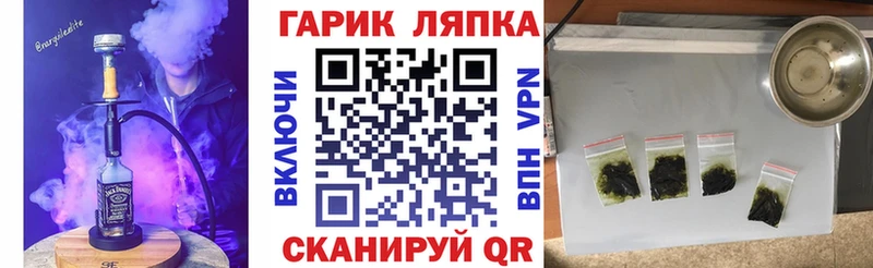 ГАШ Premium Светлогорск
