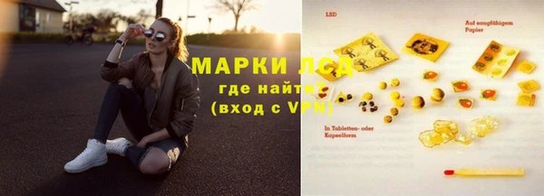 крисы Баксан