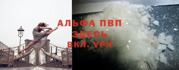 крисы Баксан