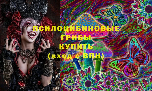крисы Баксан