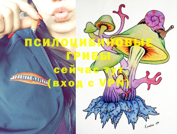 крисы Балахна