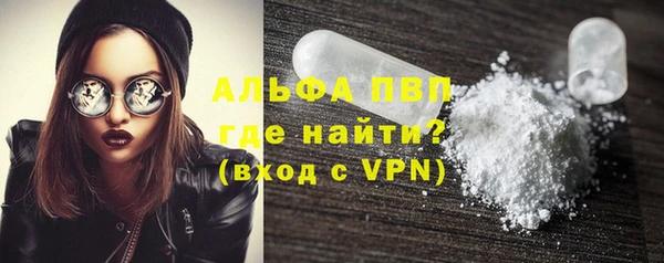 крисы Баксан